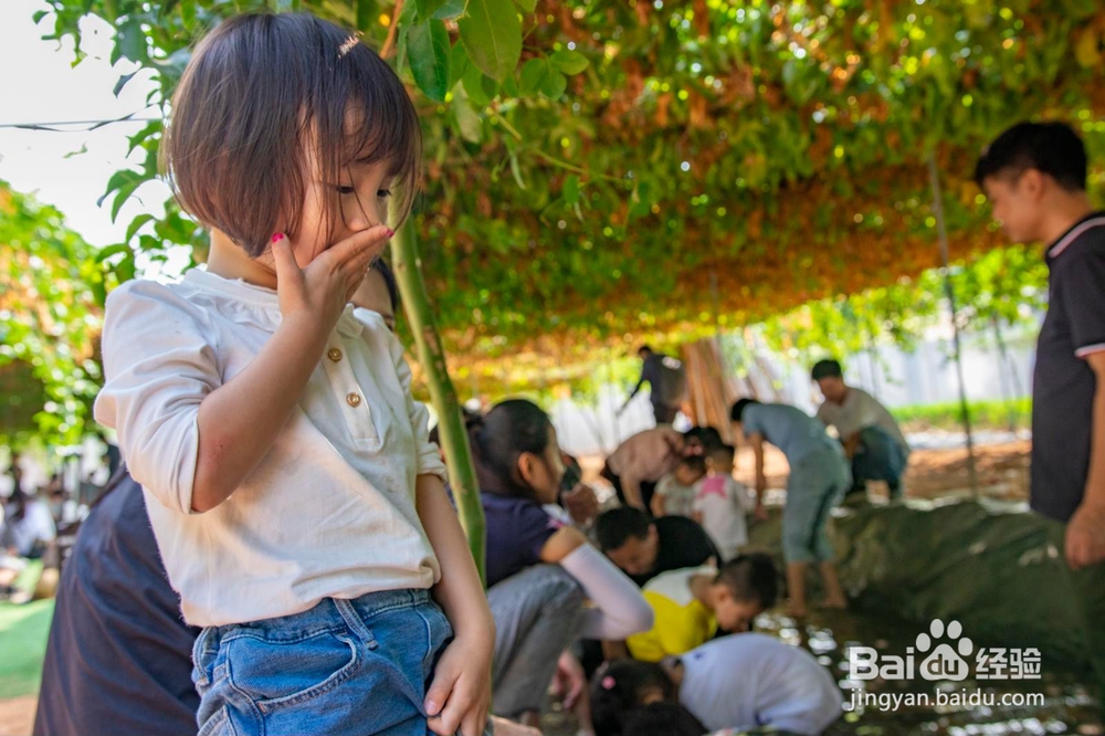 深圳光明稻田农场这个地方超适合亲子游