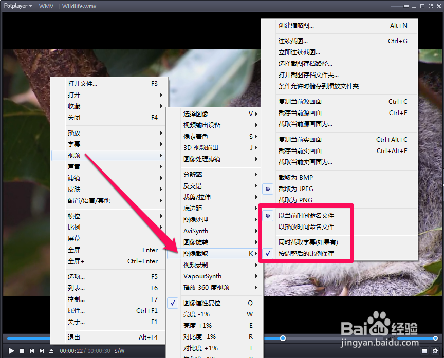 potplayer截图方法