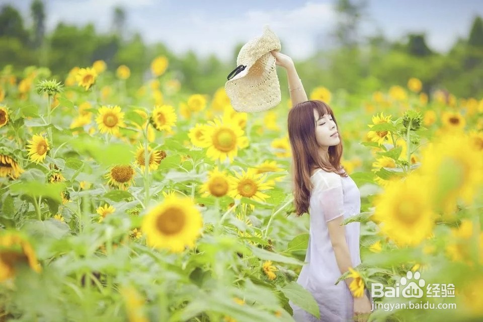 人与向日葵怎么拍照