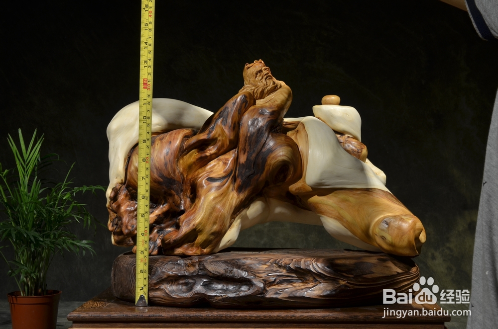 倦勤絮语3：崖柏的冰火两重天