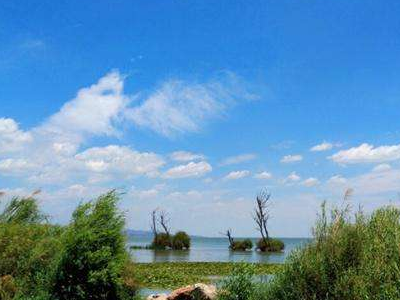 空气是一种怎么样的气体。(4种答案)