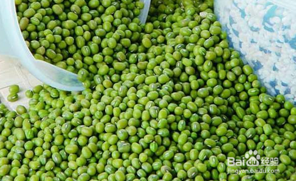 寒性食物一览表