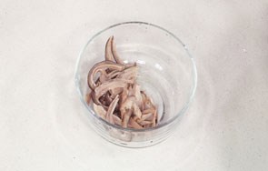 好吃又营养的沙姜凉拌猪肚