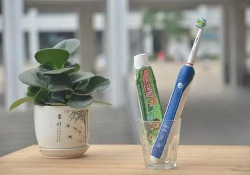 电动牙刷和普通牙刷的区别是什么