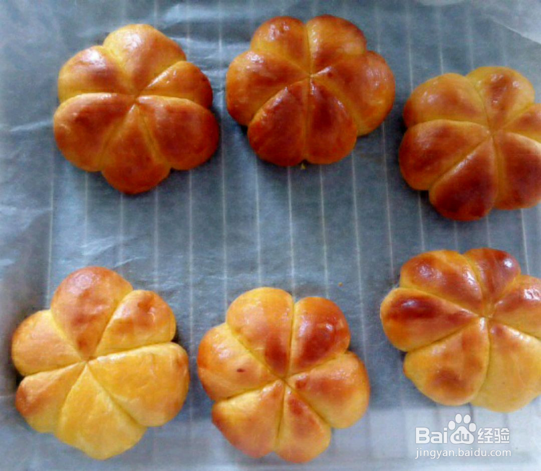 奶酪南瓜包的做法