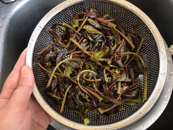 凉拌香椿松子豆腐