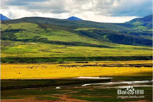 领略川藏线上的美丽风景