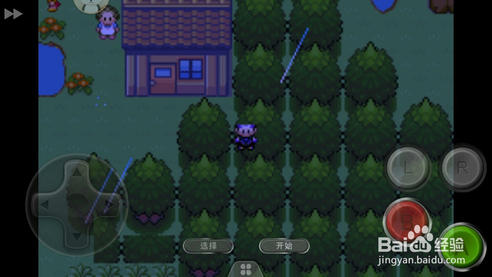 口袋妖怪绿宝石金手指怎么用