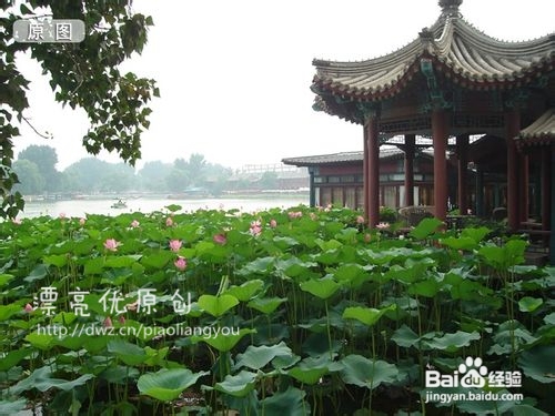 教你怎样用PS美化照片