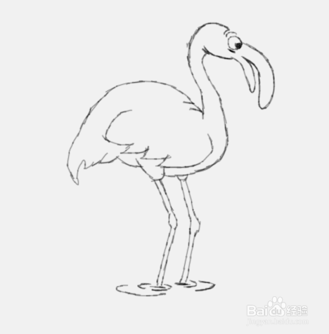 简笔画火烈鸟是怎么画的