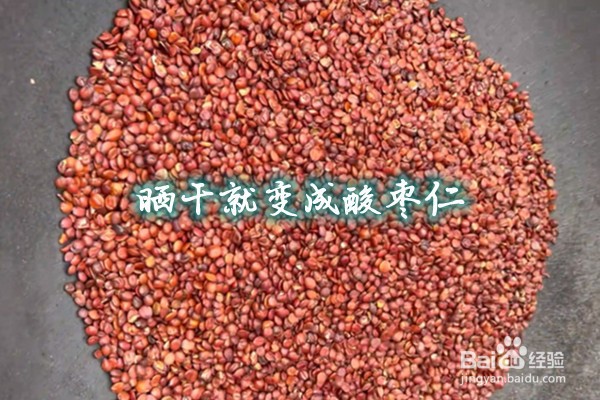 酸枣仁怎么加工