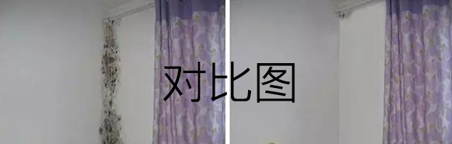 墙壁发霉的处理方法