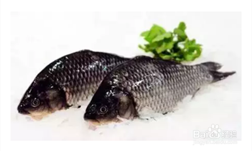 如何买到健康好吃的鱼？