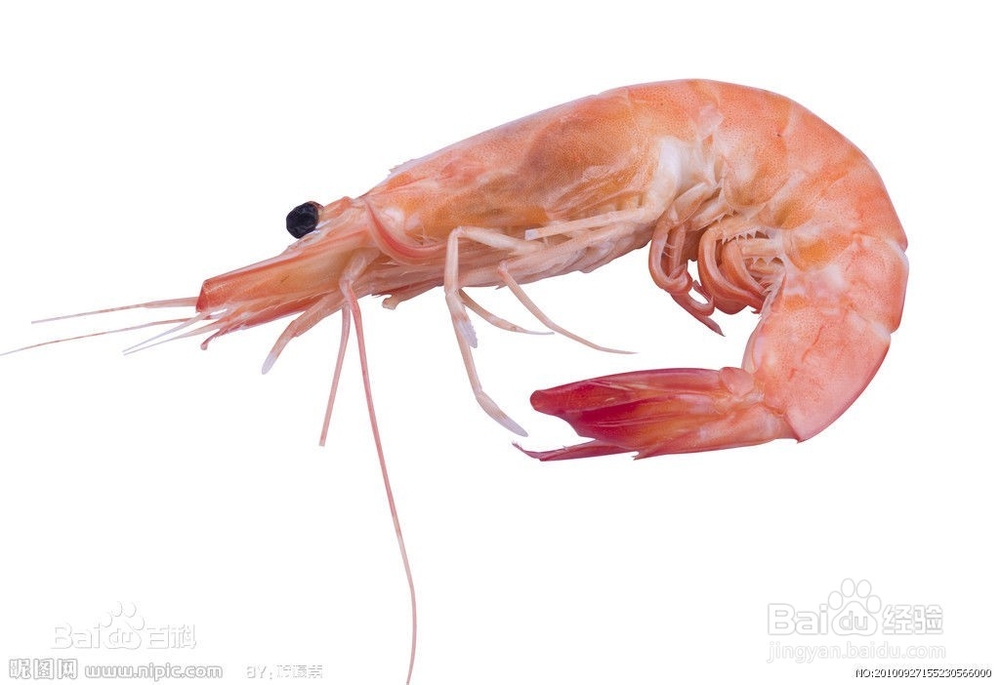 女人吃什么补肾