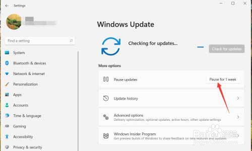 win11如何设置暂停更新?