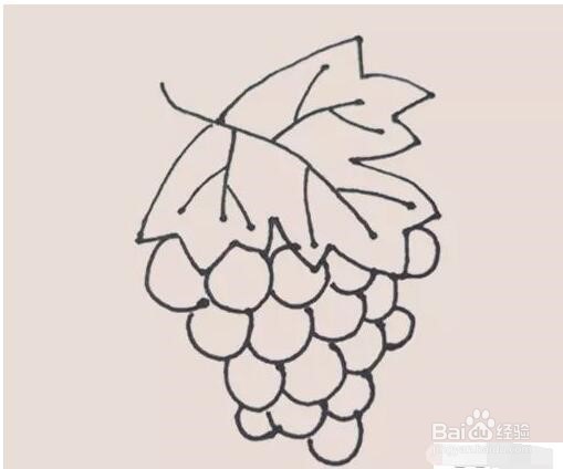伴儿成长简笔画系列-怎样画葡萄简笔画