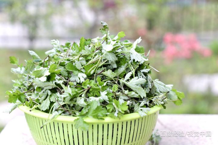 在端午节，我们都有哪些传统的习俗？