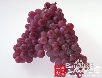 春季养生吃什么