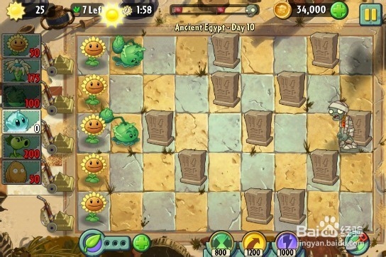 植物大战僵尸2（金字塔）第十关3星图文过关攻略