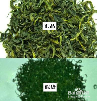 日照绿茶怎么选？日照绿茶怎样鉴别真假