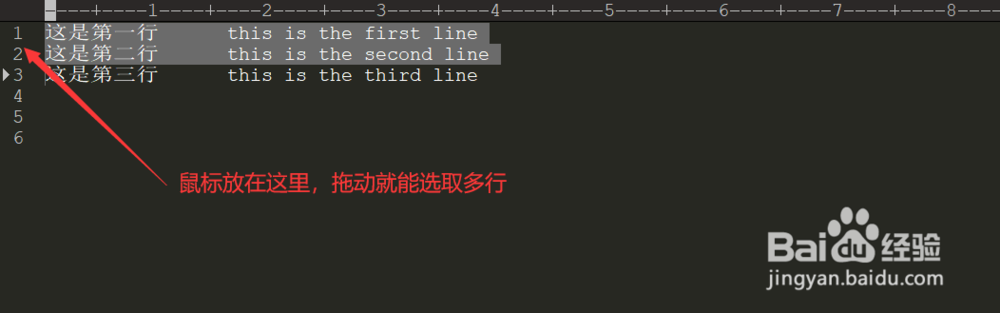 editplus编辑时如何拖动复制整行