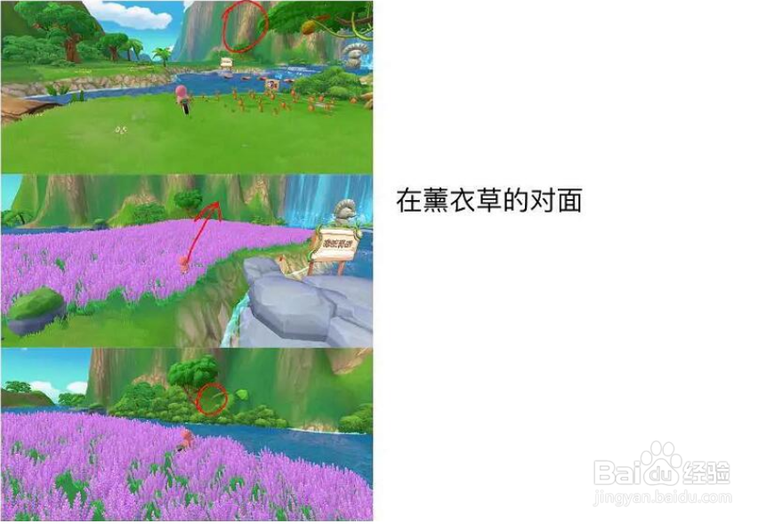 摩尔庄园浆果丛林上山攻略