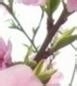 家有主妇妙招无穷49