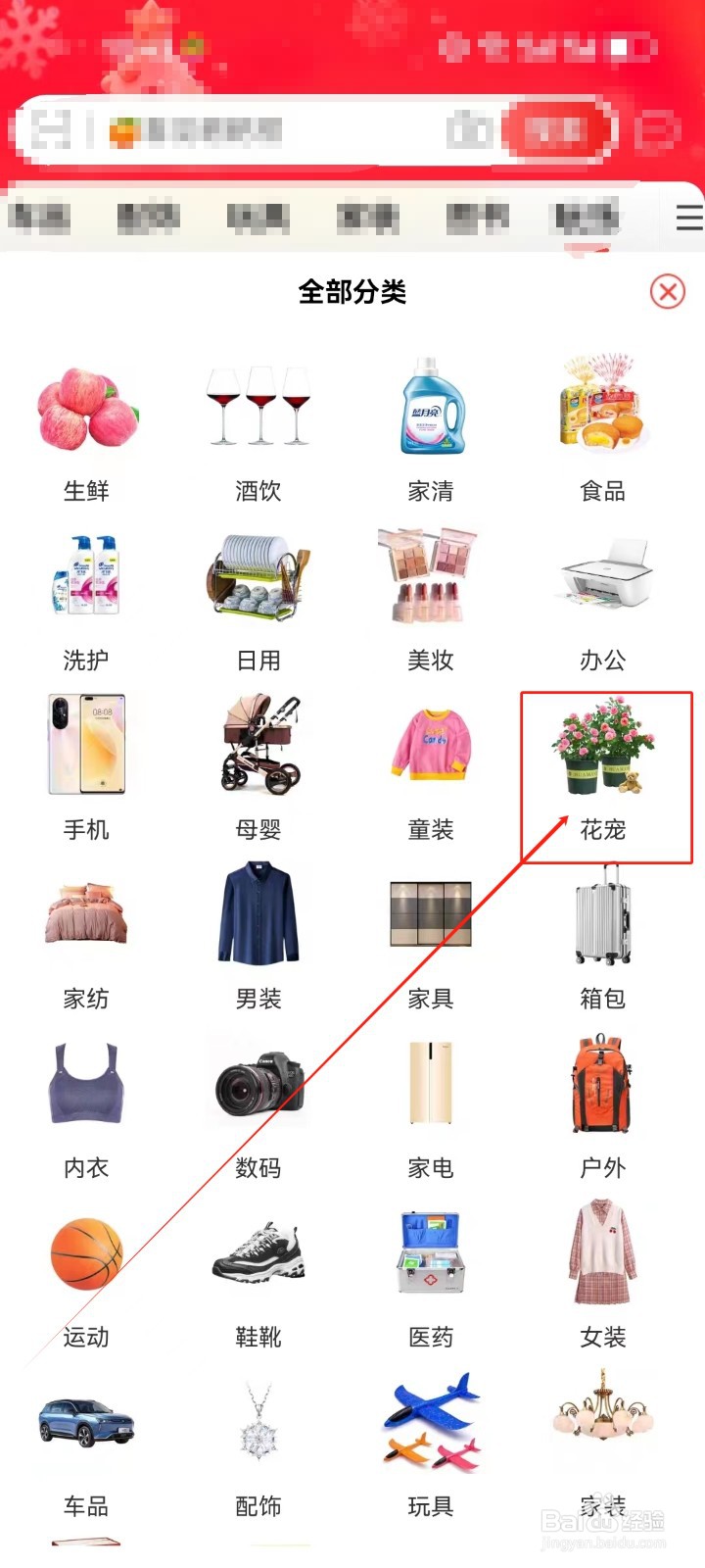 淘特APP怎么查看《花宠》商品分类