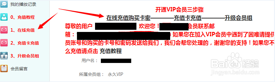 会员充值VIP教程
