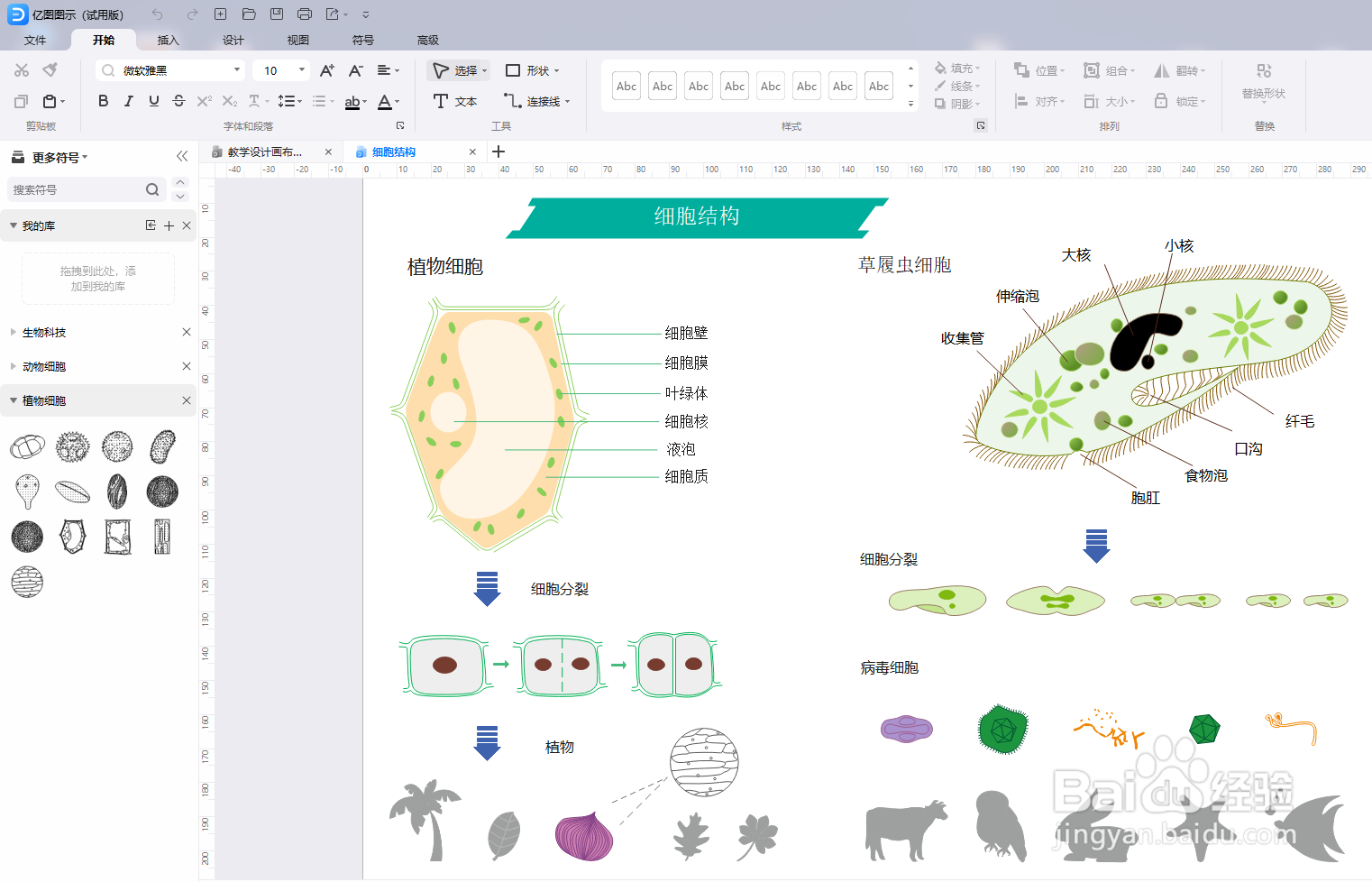 亿图图示怎么绘制“细胞结构图”