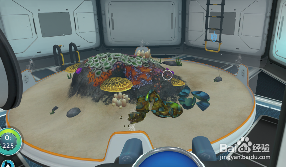 深海迷航怎么孵蛋