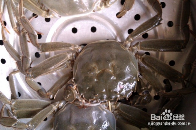 吃蟹的又一种选择――紫苏蒸湖蟹