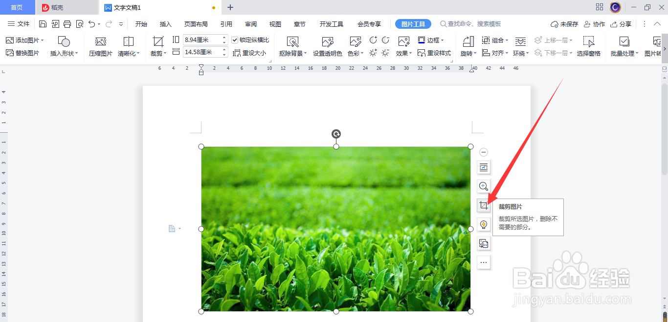 WPS(Word)插入的图片怎么剪裁