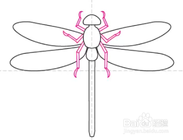 如何绘制蜻蜓