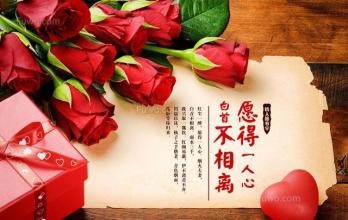 为什么男人不坏，女人不爱，女人都喜欢坏男人吗