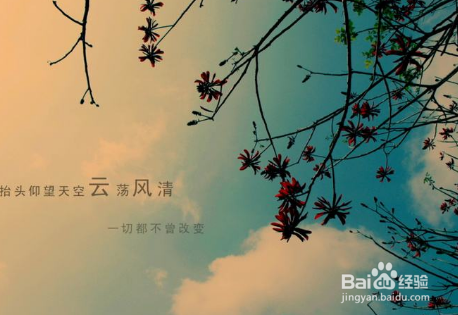 一个红字怎样起微信名
