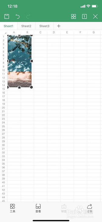 手机WPS Office表格如何插入图片
