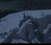 荒野大镖客OL对决心得分享