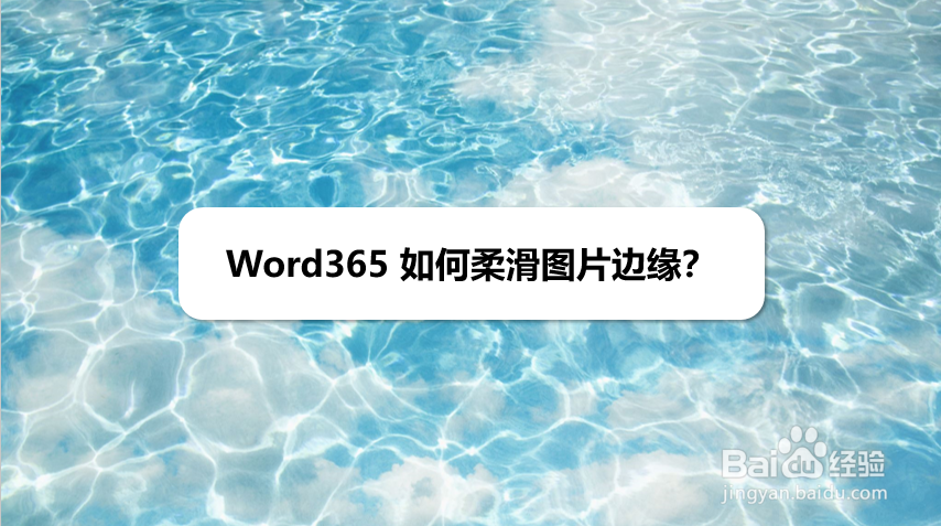 Word365 如何柔滑图片边缘