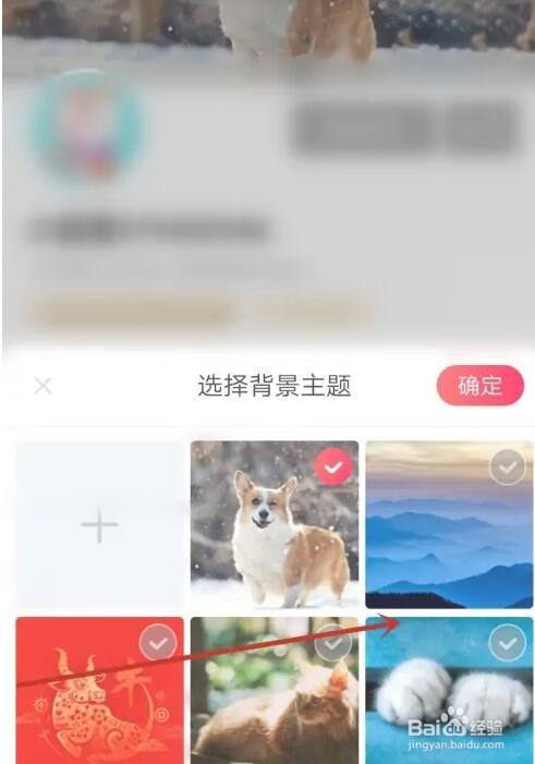 搜孤视频背景主题怎么切换