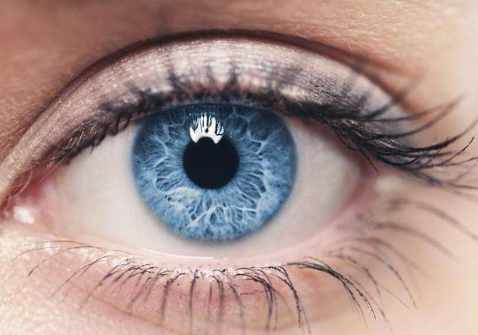 但是白鹭本身不就是一首很优美的歌吗？《改为陈述句》