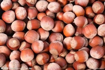 补血水果有哪些？