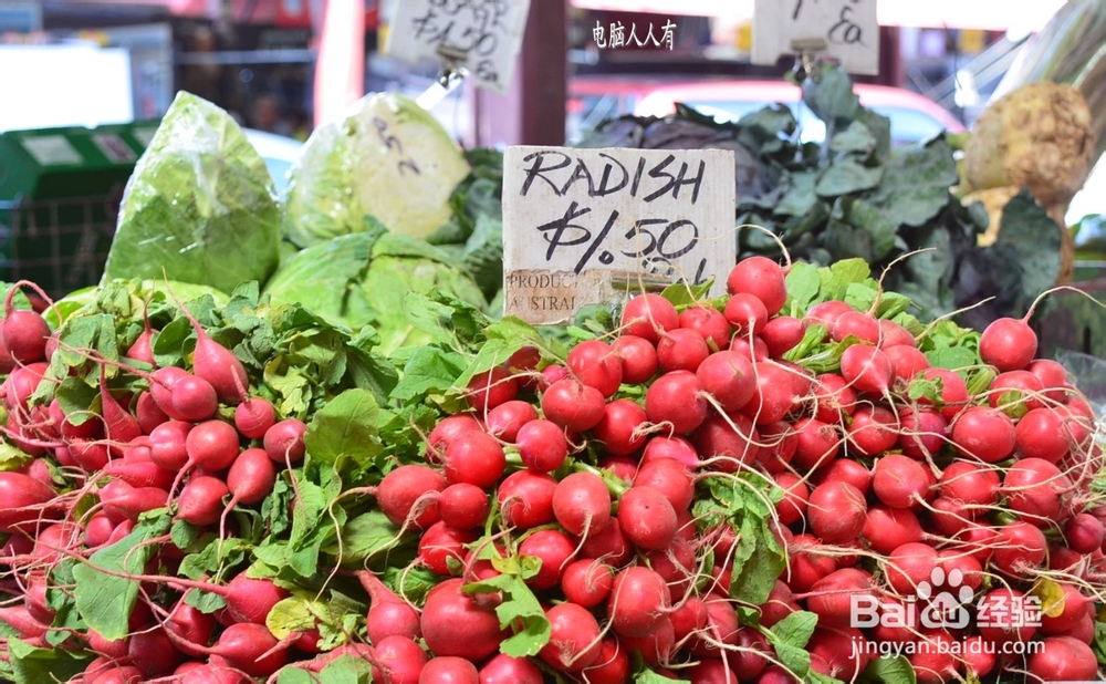 香气四溢养生菜