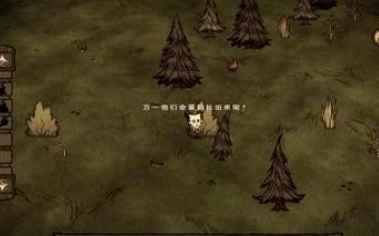 饥荒怎么建房子？