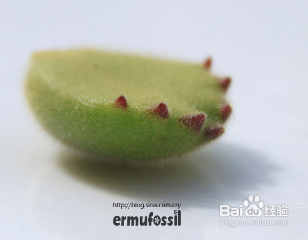 2012年6月23日 记录