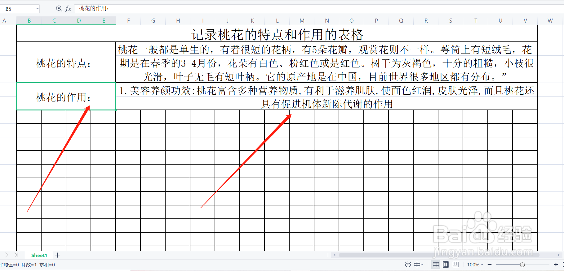 桃花有什么特点和作用