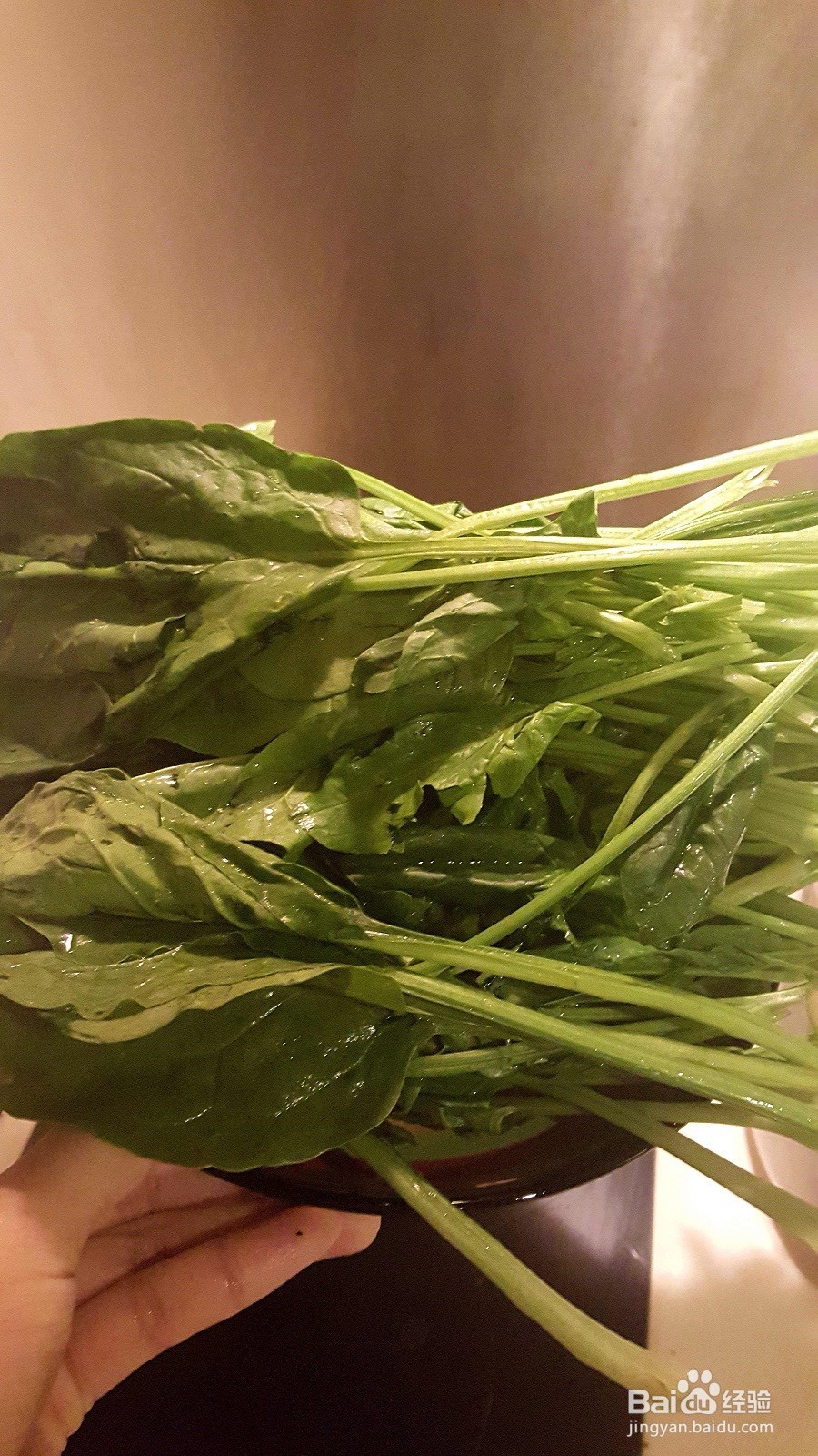 夏季美食之凉拌菠菜