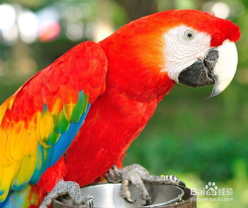 Mathematica的图像处理基础