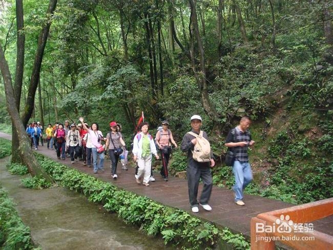 广州到张家界旅游