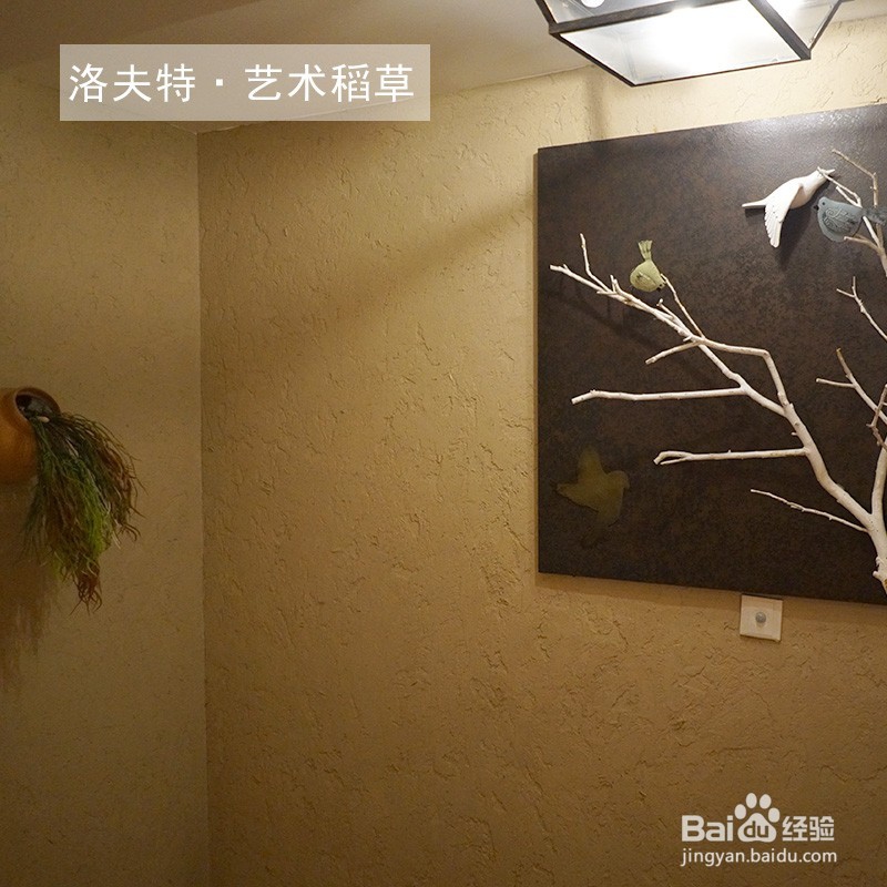 泥草漆施工工艺